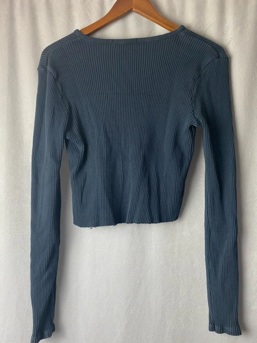 Brandy Melville Y2K Ribbed Long-Sleeve Crop Top in Slate Blue 0-4 OS